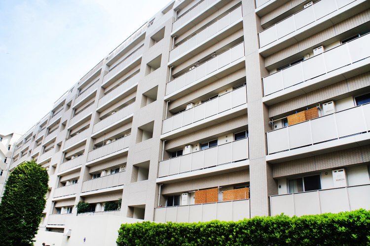 商店街に面しているが、通りから1本入った私道にエントランスを設ける。巣鴨駅、庚申塚駅に加え地下鉄三田線の西巣鴨駅も利用しやすい。