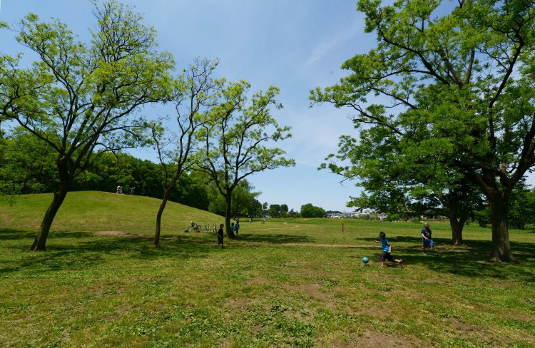 01_武蔵野公園 (2)