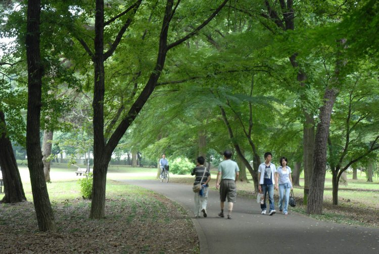 園内には武蔵野の自然が残る。