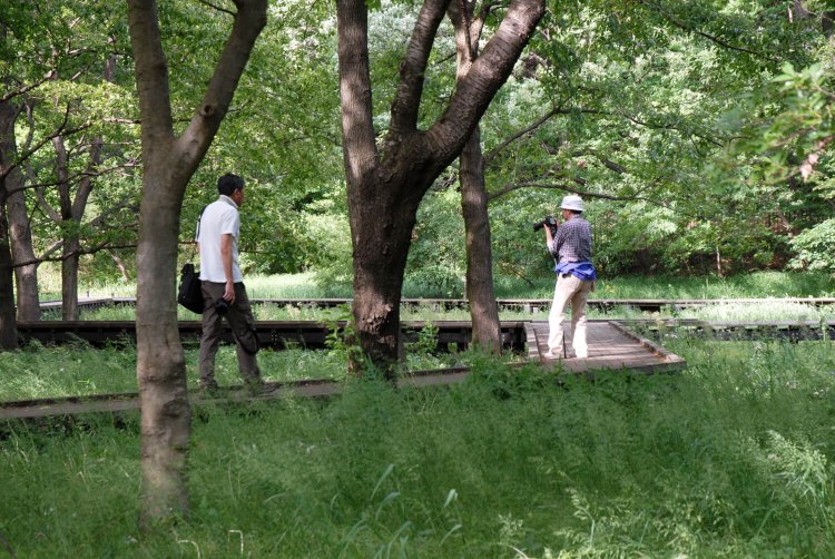 武蔵野の自然を保全する自然観察園。ほかにバーベキュー広場も人気。