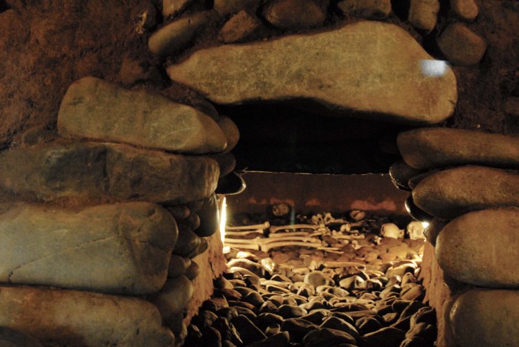 05_出山横穴墓群8号墓 (1)