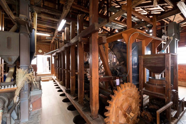 写真：三鷹市教育委員会。