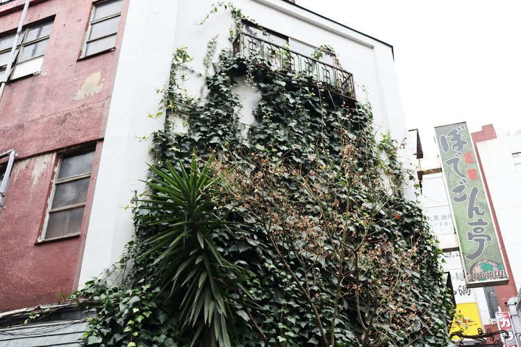 だいぶ森が進行したような建物。