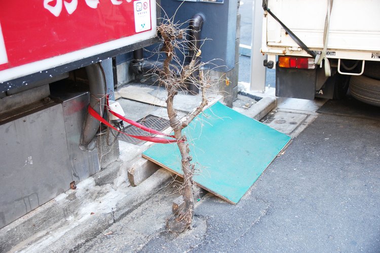 2020年2月。まだ紐あり。