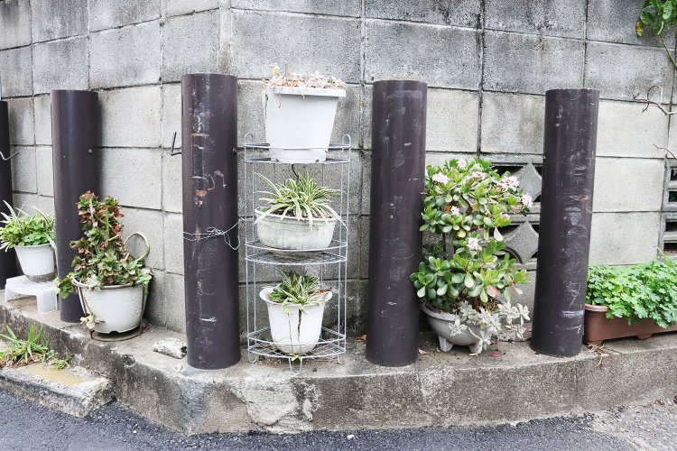 塀の見事な活用。