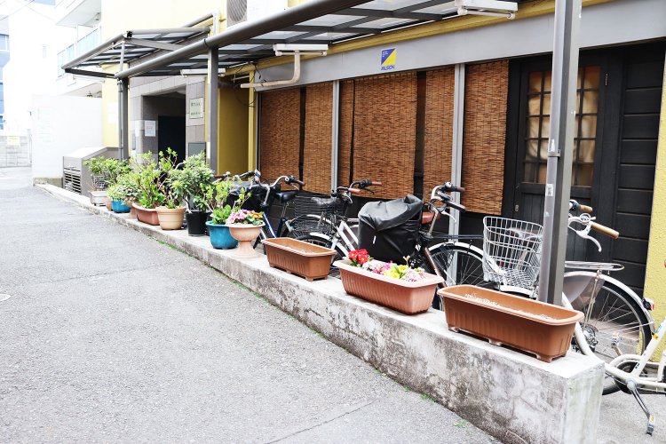 一列に並ぶプランター。