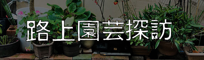 暗渠マニアックスと“水路上”園芸観察【村田あやこの路上園芸探訪・古