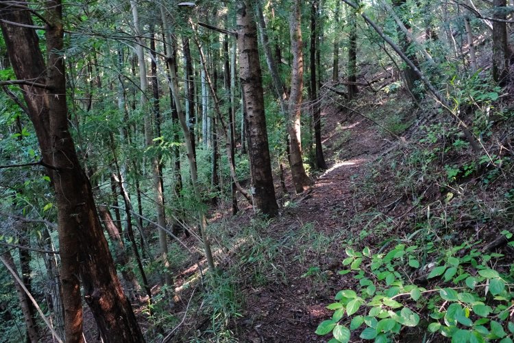 霊園の奥から登山道になる。ちょっとわかりにくいが、上がって右手のほうへ行く。