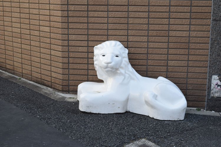 道中、アパートの前に鎮座する謎のライオンとも久々に再開した。