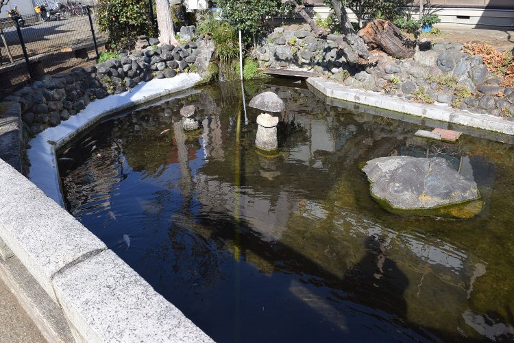 境内には鯉や亀のいる池があり、子どもと一緒に眺めて過ごした。