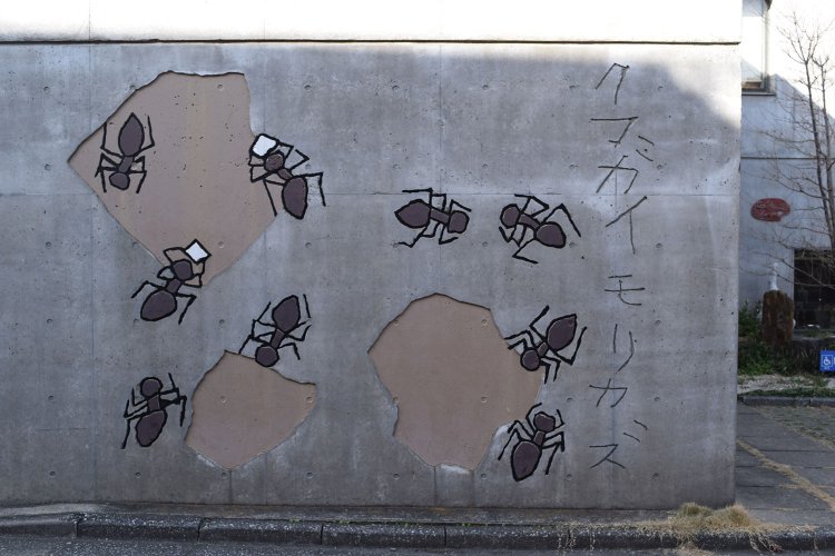 美術館の周りはいつもの散歩コース。