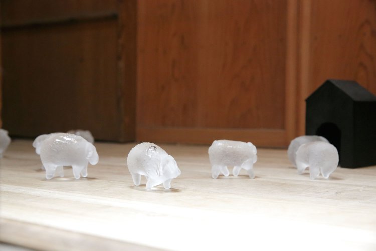 企画によって、玄関やカフェスペースにも作品が設置される。見逃さないで！