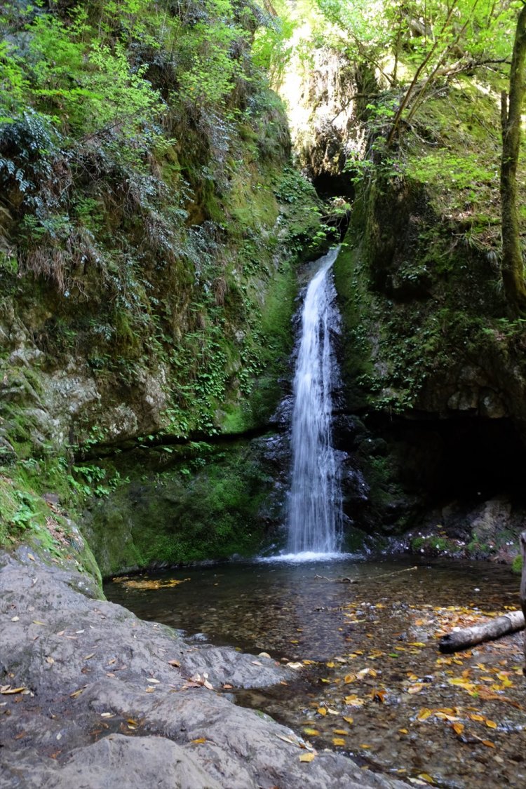 迫力のある七代の滝。天狗岩への鉄はしごは注意して登る。