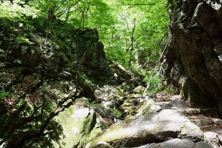 5月ごろは新緑が美しい。綾広の滝の近くには東屋があり、人気の休憩スポット。