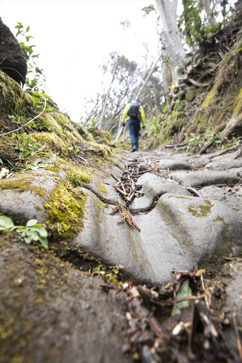 人気の鋸山極上コース 岩に染み入るツルハシの音を感じながら 登山後の酒場 温泉付き さんたつ By 散歩の達人