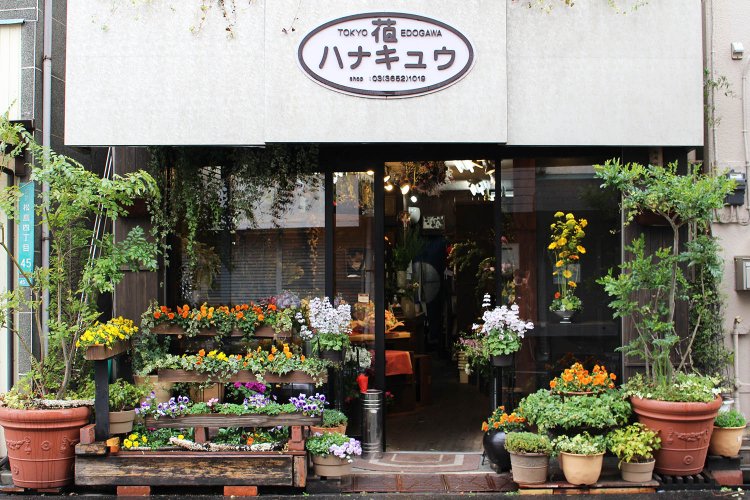 知る人ぞ知る老舗花店『ハナキュウ』。オーナーの舩岡剛人さんの技術とセンスに定評あり。