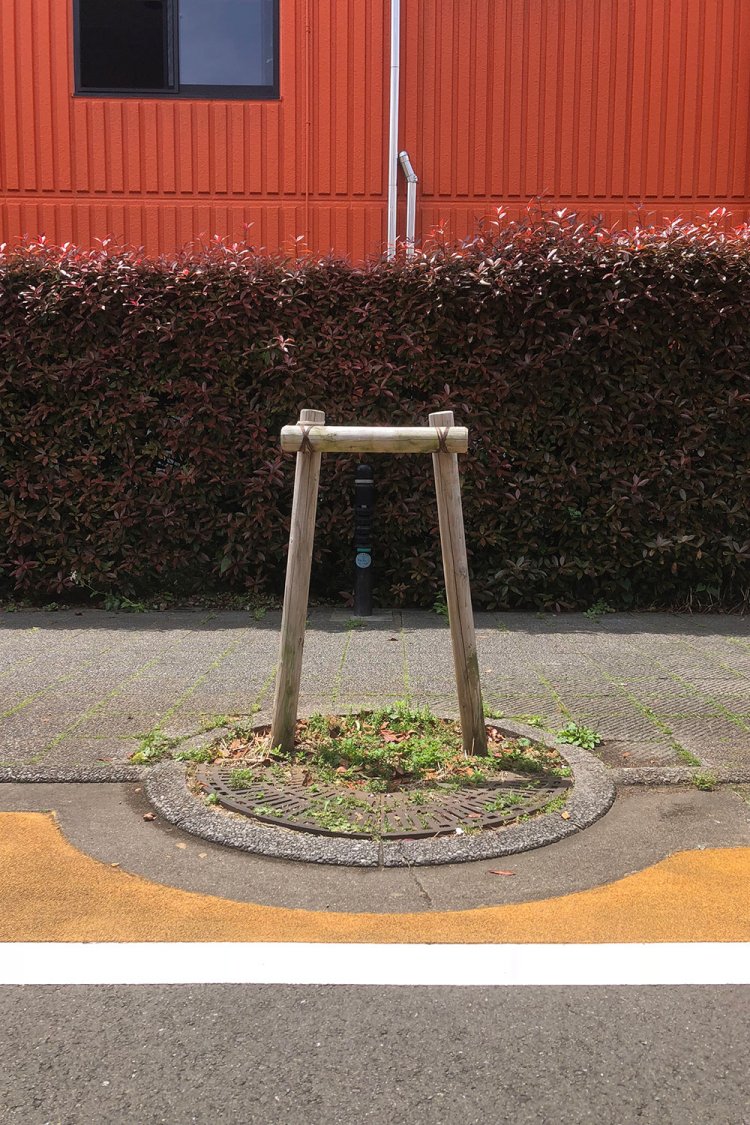 Stand-alone without a tree《純粋鳥居支柱》