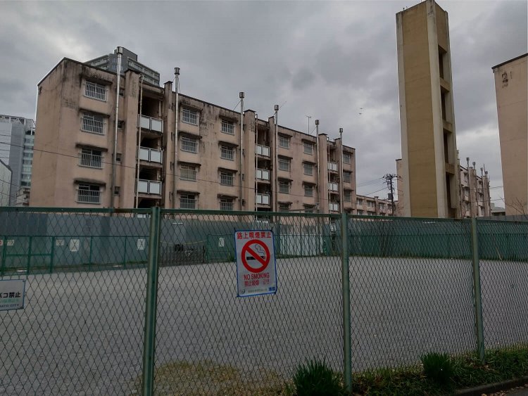 北青山三丁目緑地から見た22号棟。