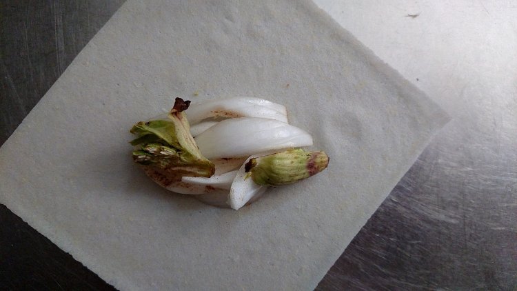 春巻きの皮に具を乗せる