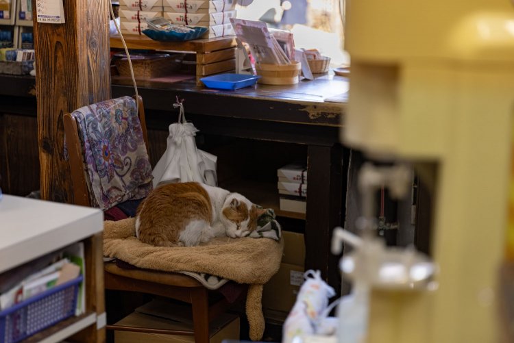 箱根お土産本舗こばやし