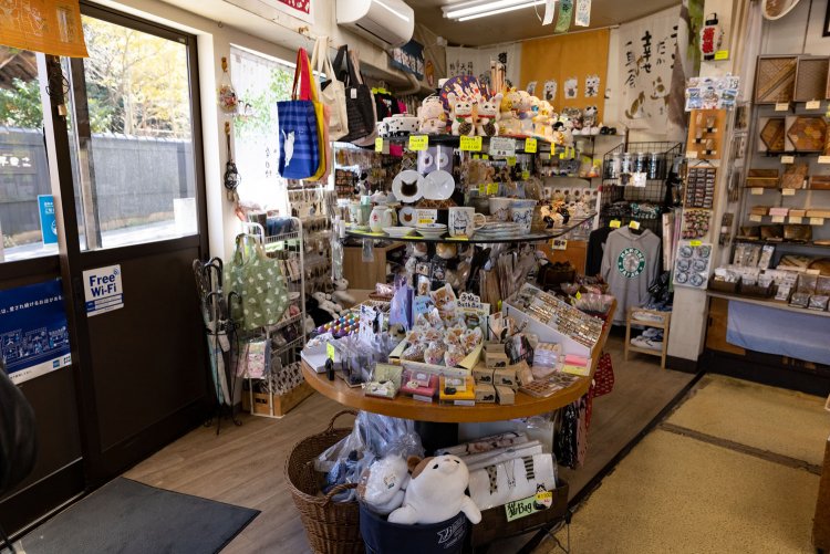 お店の一角が猫コーナーに！