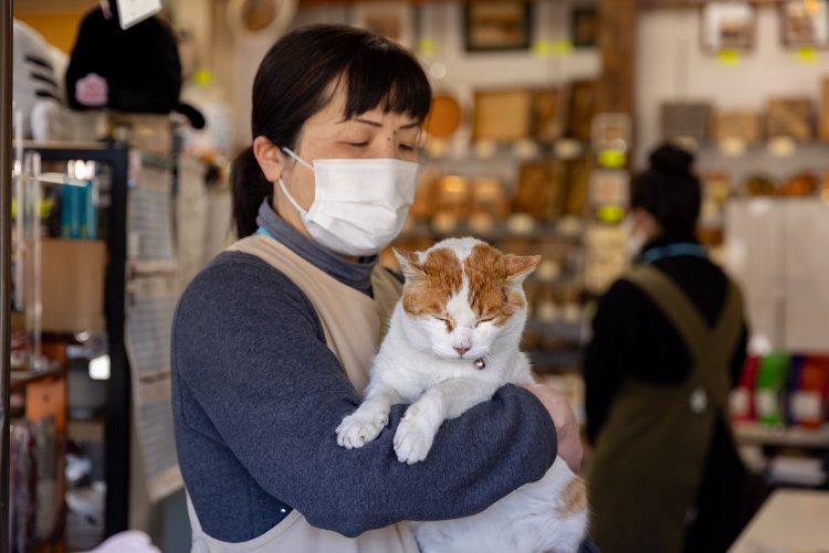箱根お土産本舗こばやし