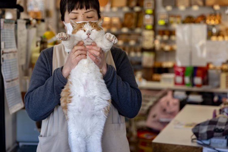 完全に脱力していて気持ち良さそうですね。