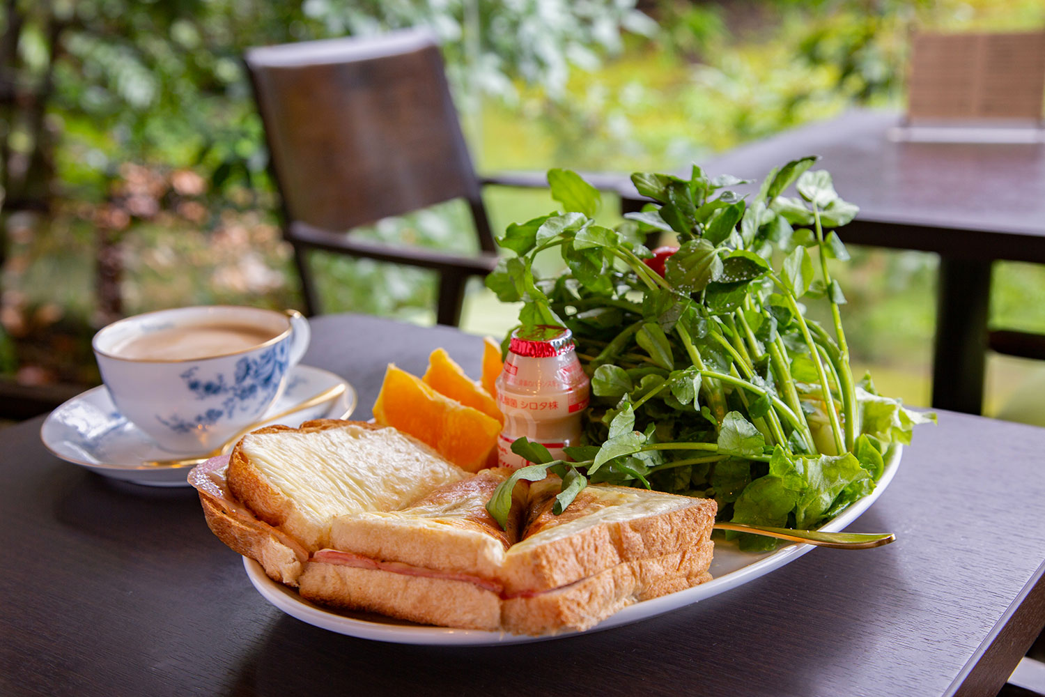 南青山の隠れたオアシス 蔦珈琲店 で楽しむ 庭とコーヒーと無駄話 さんたつ By 散歩の達人