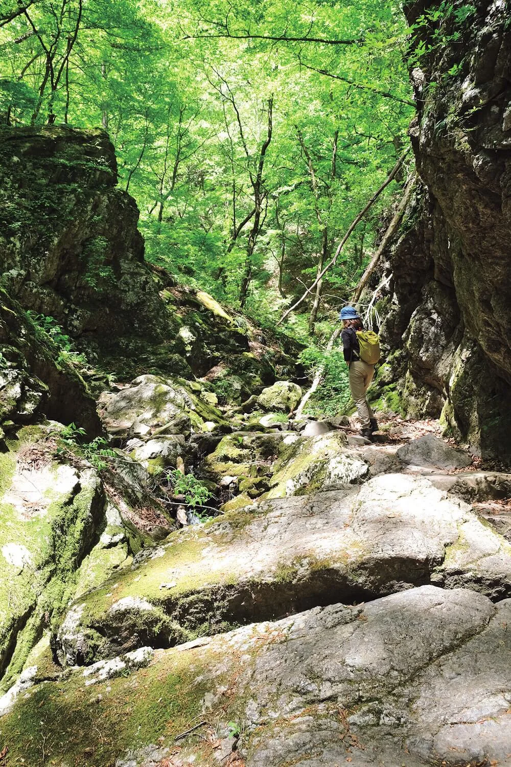 御岳山から岩石園へ 滝や渓谷を巡るロングコース 東京都 青梅市 檜原村 東京発日帰り旅 おすすめ散歩コース 東京 さんたつ By 散歩の達人