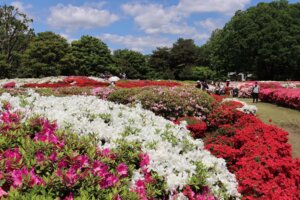 神代植物公園2