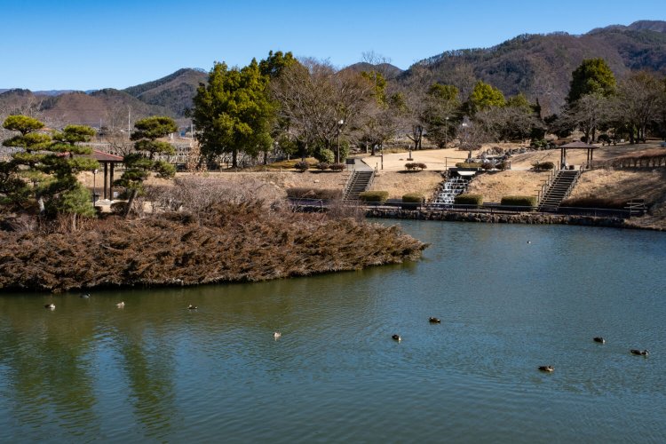 多くの水鳥が気ままにくつろぐ鏡池越しに親水広場を望む。
