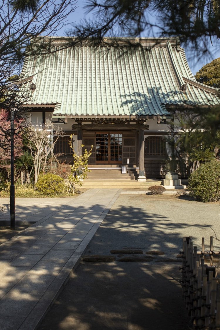 階段の上にある本瑞寺。散歩道からは城ケ島や橋、港が一望できる。