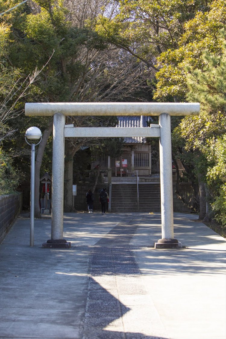 諸磯湾からさらに下った浜諸磯に立つ諸磯神明社。小桜姫の伝説から、パワースポットとしても人気。