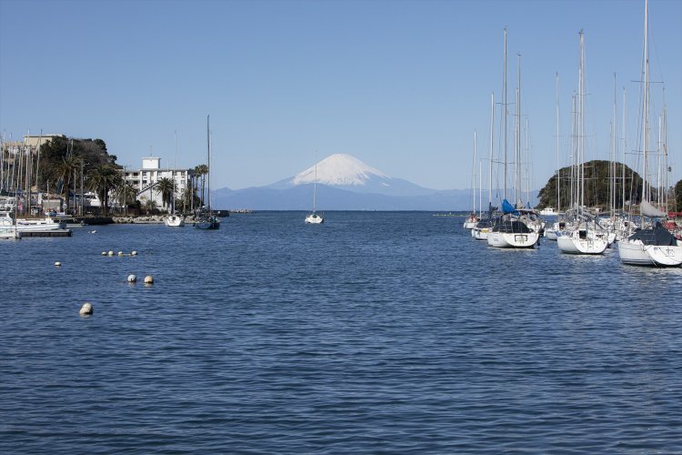 5  諸磯湾（もろいそわん）