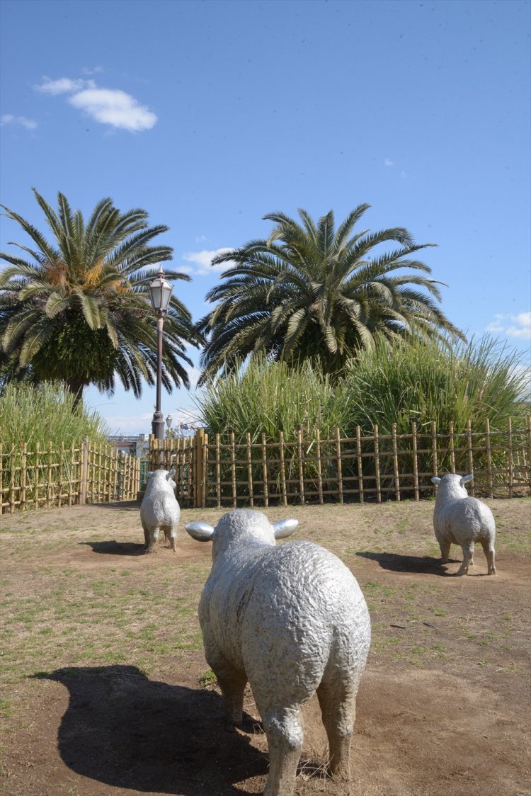 5 ベルモント公園