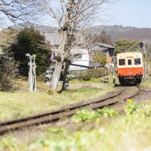 小湊鐵道→久留里線 乗り継ぎさんぽコース！ ～房総半島の真ん中でフシギを巡る～