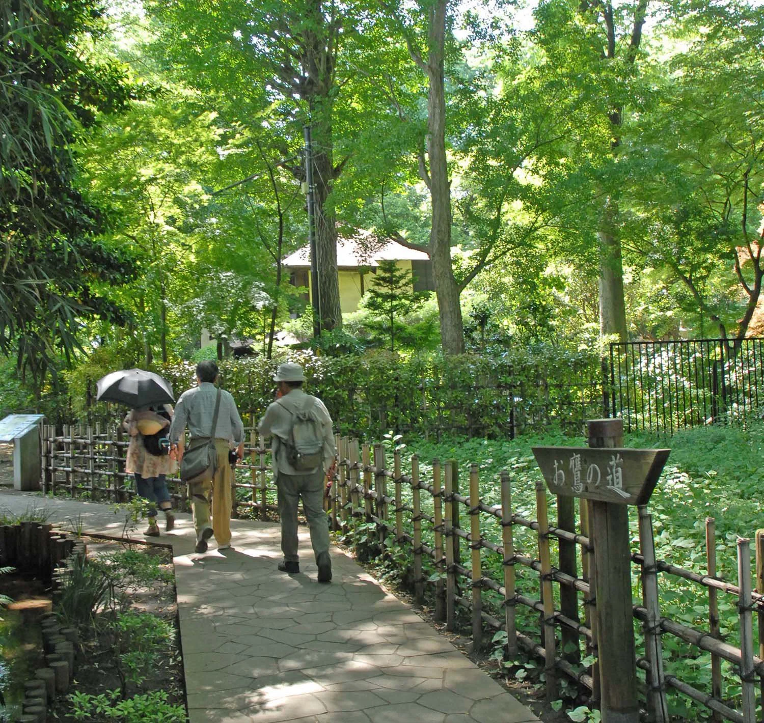 国分寺駅からはじめる国分寺 西国分寺さんぽ 国分寺の歴史や文化にふれる水辺の道さんぽコース おすすめ散歩コース 東京 さんたつ By 散歩の達人