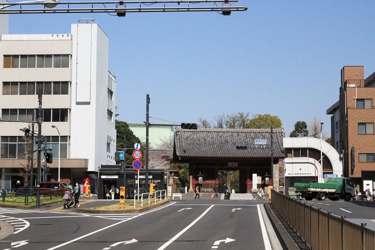 護国寺の仁王門から南へ真っすぐ伸びる音羽通り。