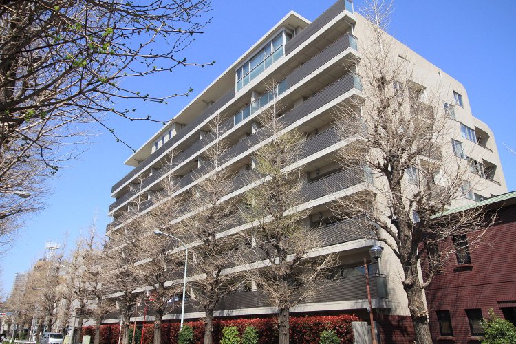 イチョウ並木の気品ある街並みと調和の取れた外観の「ヒルズ目白台」。