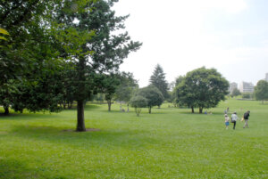武蔵国分寺公園