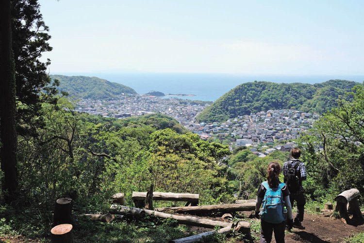 仙元山と大峰山の二峰で、相模湾と葉山の街の展望を楽しむ。神奈川県・葉山町【東京発日帰り旅】