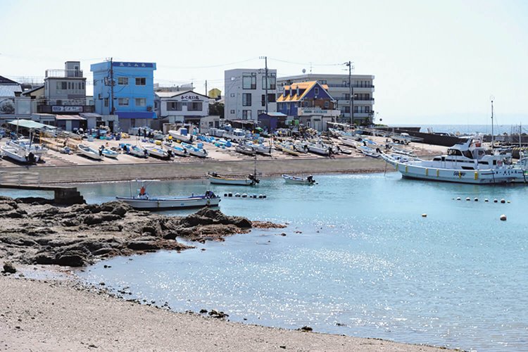大峰山から真名瀬コースを下りてくると真名瀬漁港がある。ワカメやヒジキなど海藻類の水揚げが多いそうだ。
