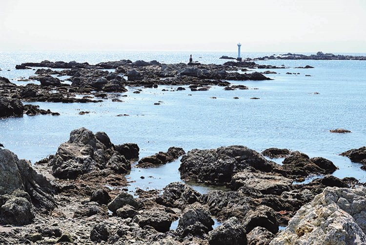 神社先の風景。