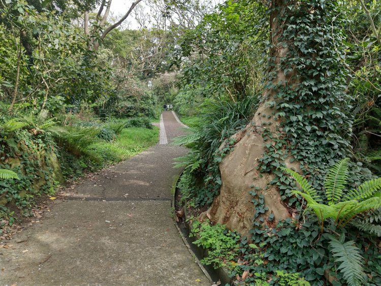 散策道は林の中へ分け入り、鳥のさえずりが心地よい。