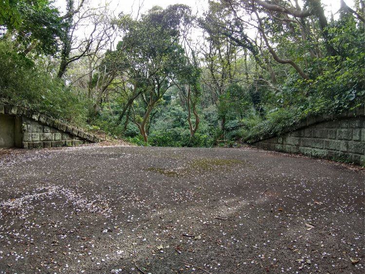 砲座を逆にして見た。円形の空間が広がっている。