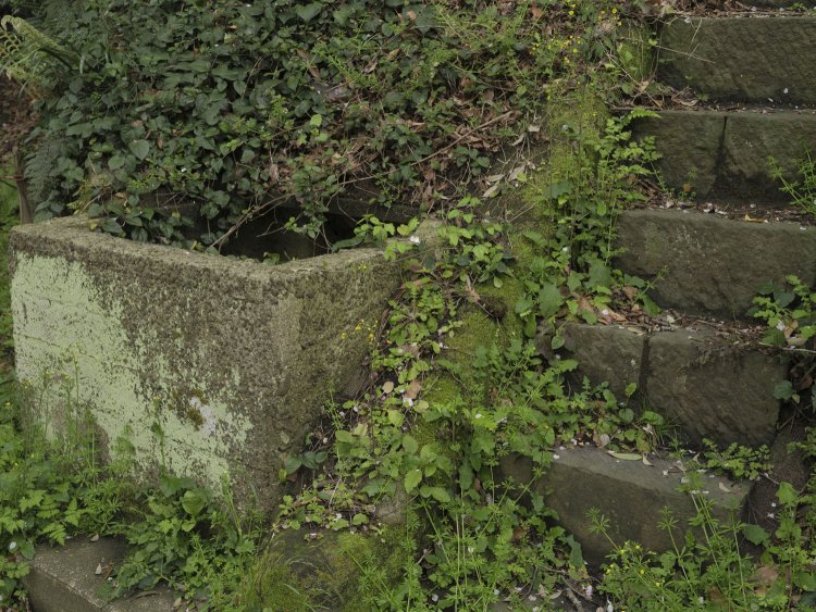 井戸跡と思しき遺構。