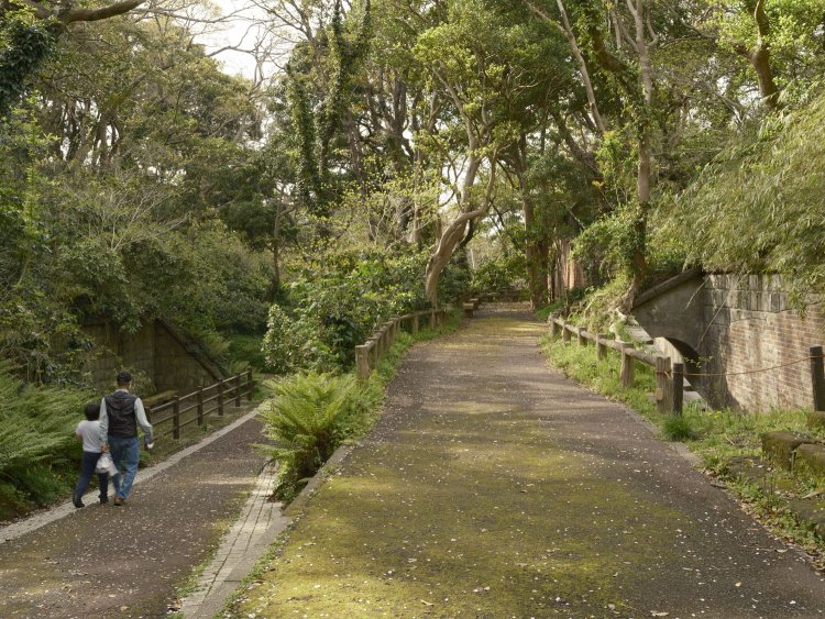 上写真の真後ろからみた。左の石垣がトイレ跡らしき遺構、右は横墻と砲座。奥は観測所跡。