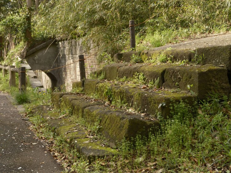 砲座へ至る階段は苔むしている。