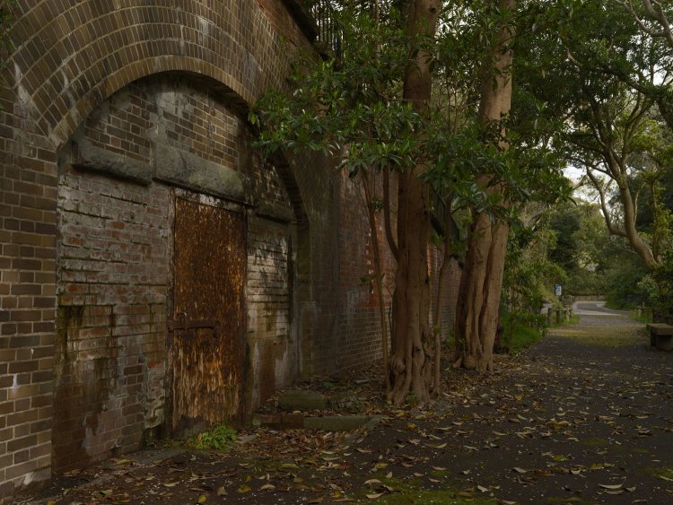 観測所。樹木が成長し遺跡の雰囲気が十二分に漂っていた。