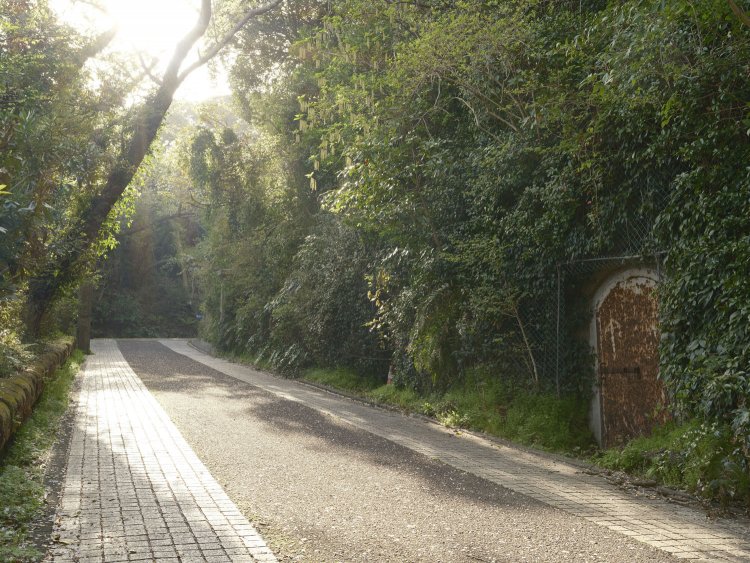 散策道を進むと掩蔽部の鉄扉がひっそりと佇んでいた。